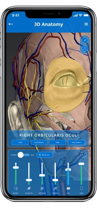 3D-face-anatomy